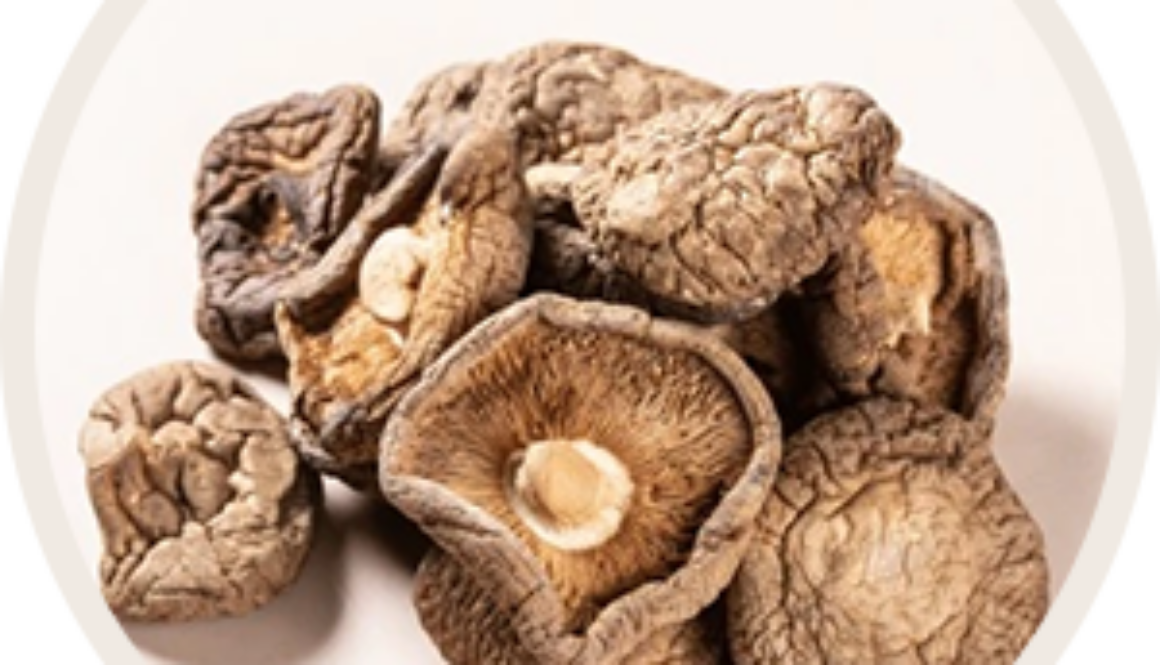 grzyb_shitake_mini